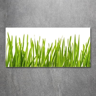 Tableau imprimé sur verre L'herbe