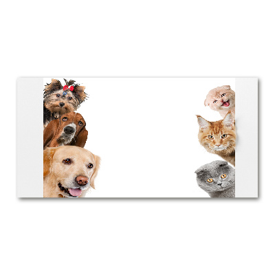 Tableau verre imprimé Chiens et chats