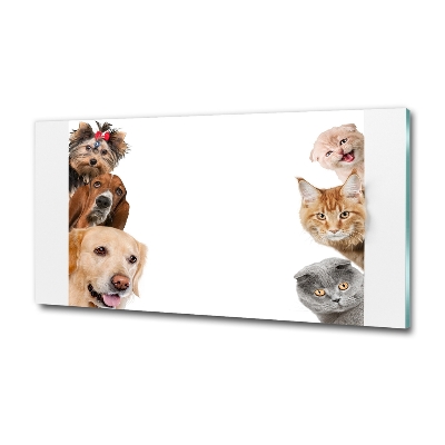 Tableau verre imprimé Chiens et chats