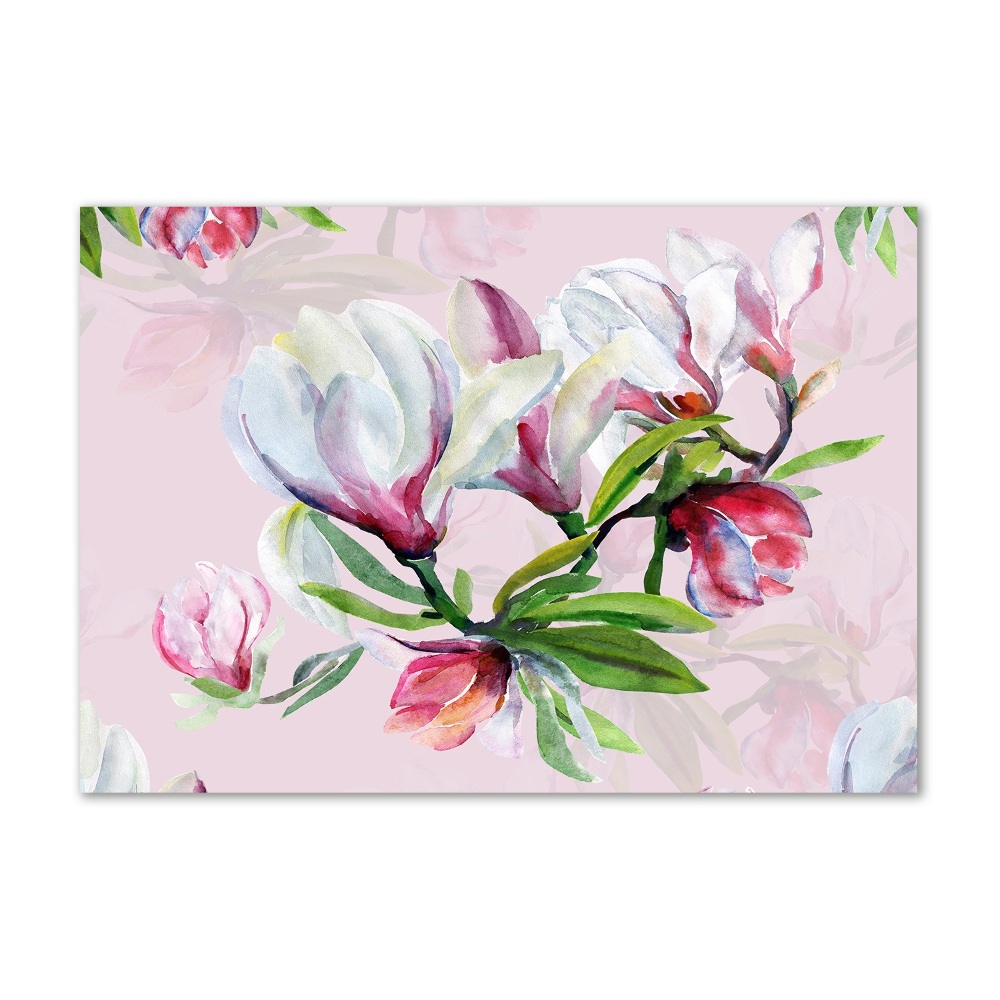 Tableau sur verre Fleurs de magnolia