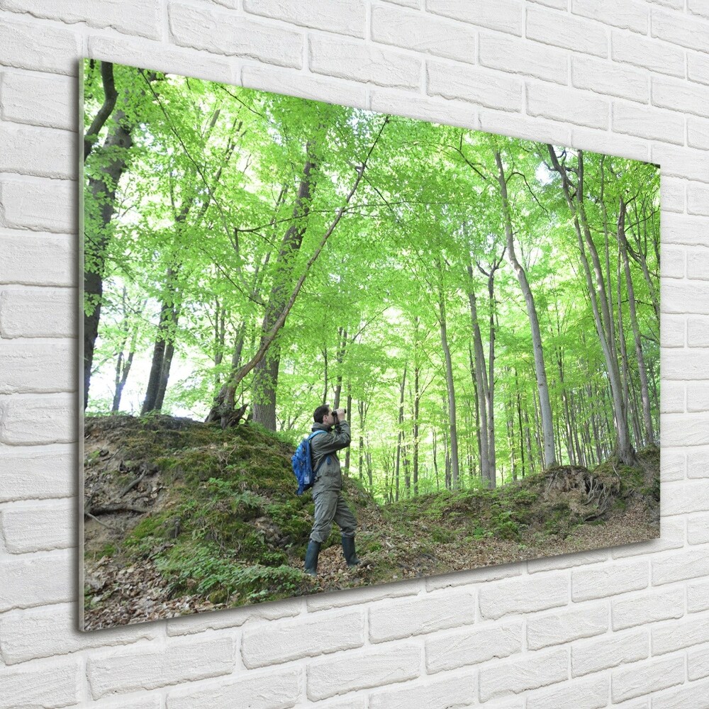 Tableau imprimé sur verre Ornithologue dans la forêt