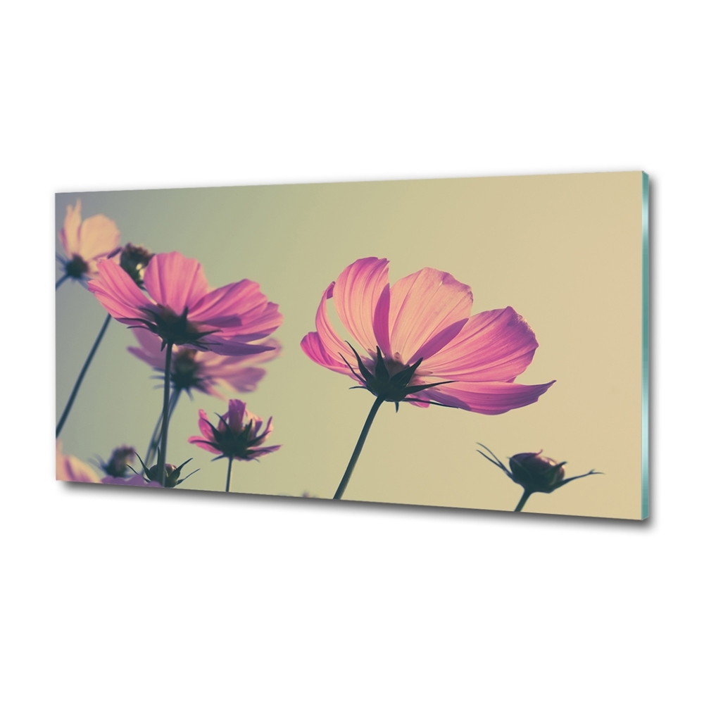 Tableau imprimé sur verre Fleurs roses