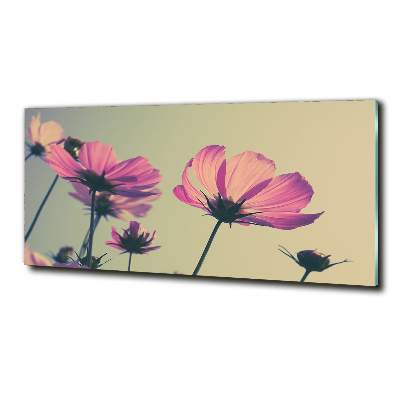 Tableau imprimé sur verre Fleurs roses