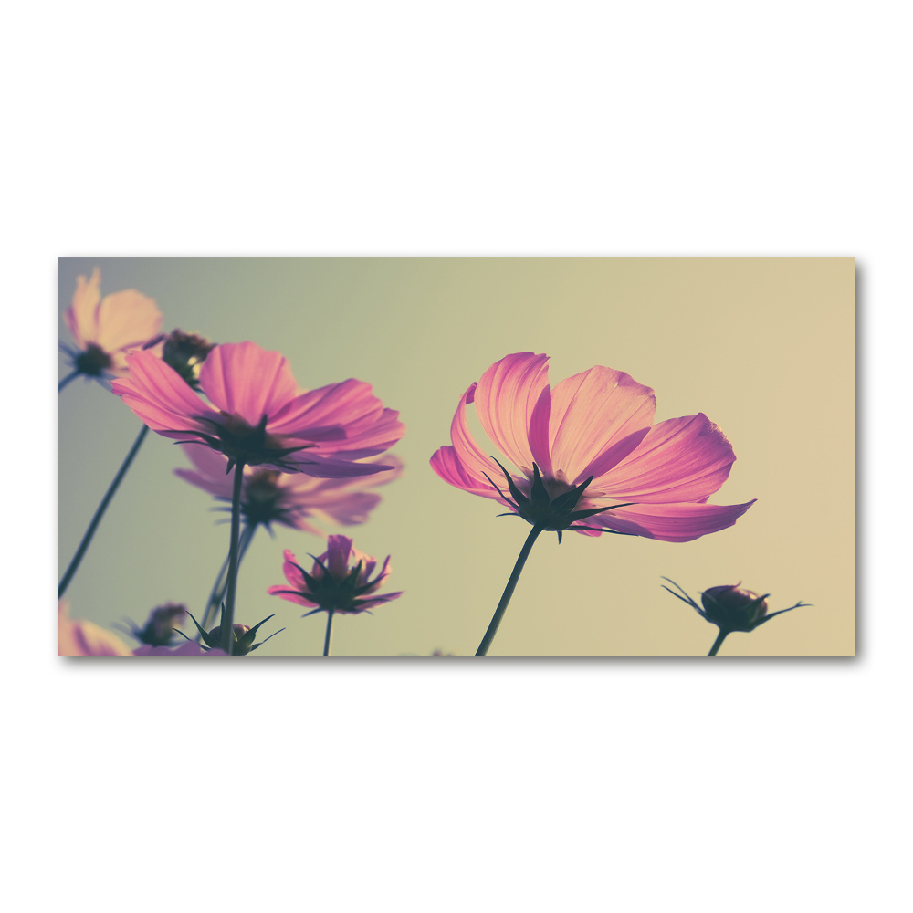 Tableau imprimé sur verre Fleurs roses