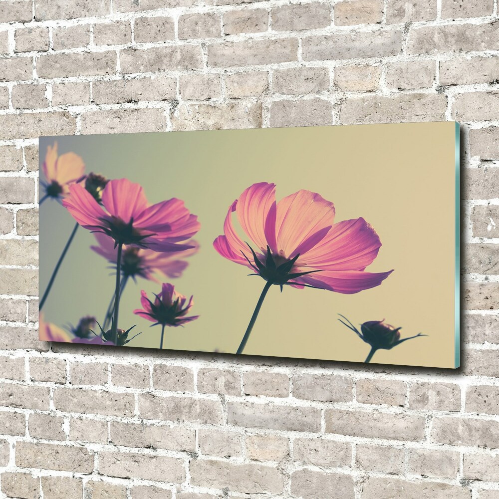 Tableau imprimé sur verre Fleurs roses