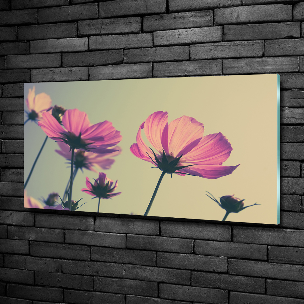 Tableau imprimé sur verre Fleurs roses