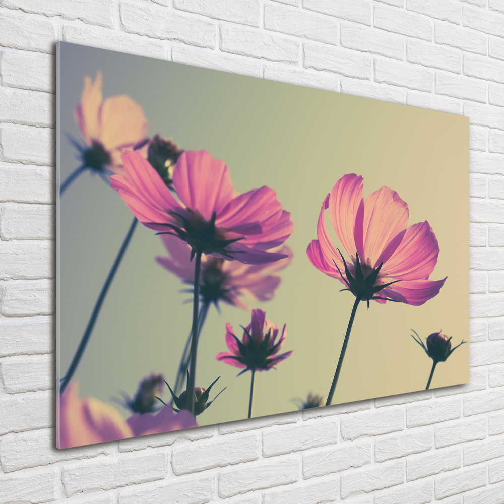 Tableau imprimé sur verre Fleurs roses