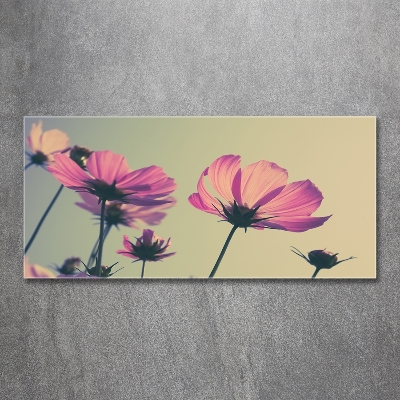 Tableau imprimé sur verre Fleurs roses