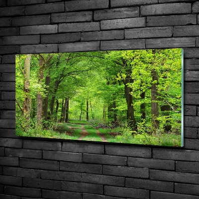 Tableau sur verre Forêt de printemps