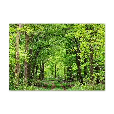 Tableau sur verre Forêt de printemps