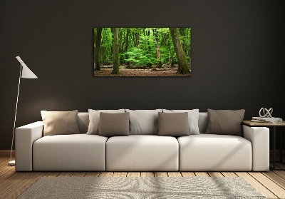 Tableau sur verre Forêt hollandaise