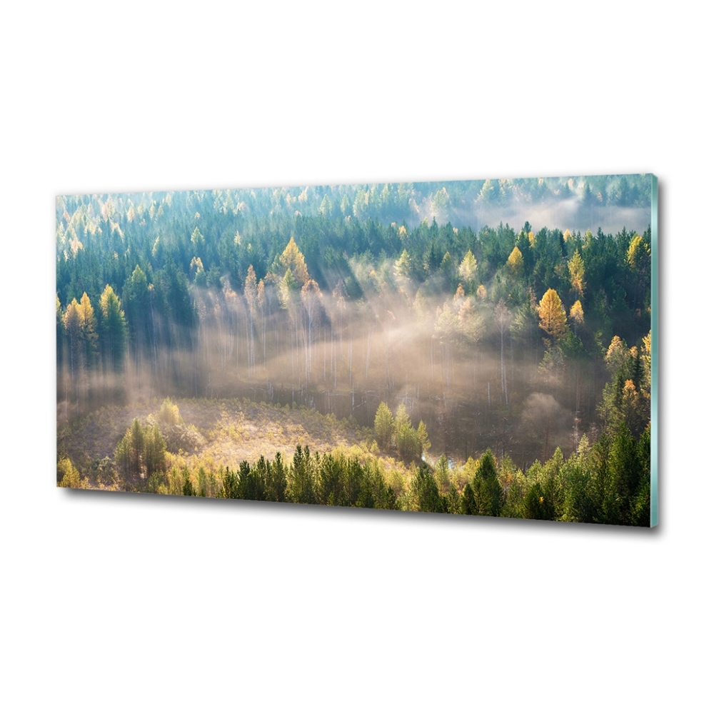 Tableau photo sur verre Le brouillard dans la forêt