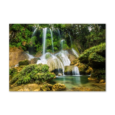 Tableau imprimé sur verre Chute d'eau