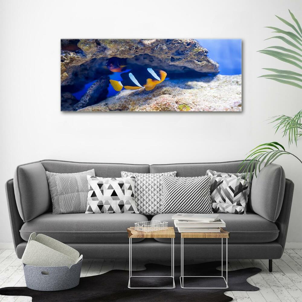 Tableau photo sur verre Poisson tropical