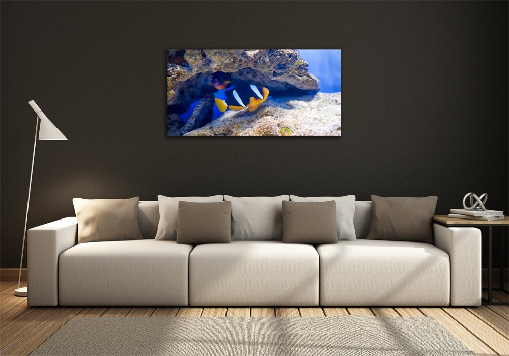 Tableau photo sur verre Poisson tropical