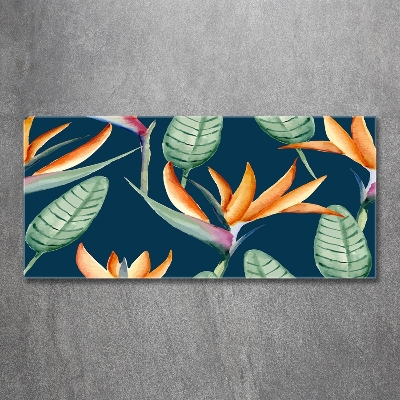 Tableau en verre Strelitzia royal