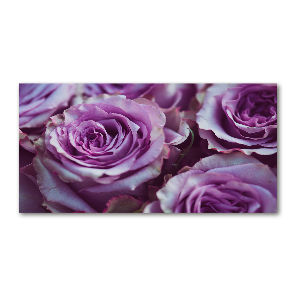 Tableau sur verre Roses pourpres