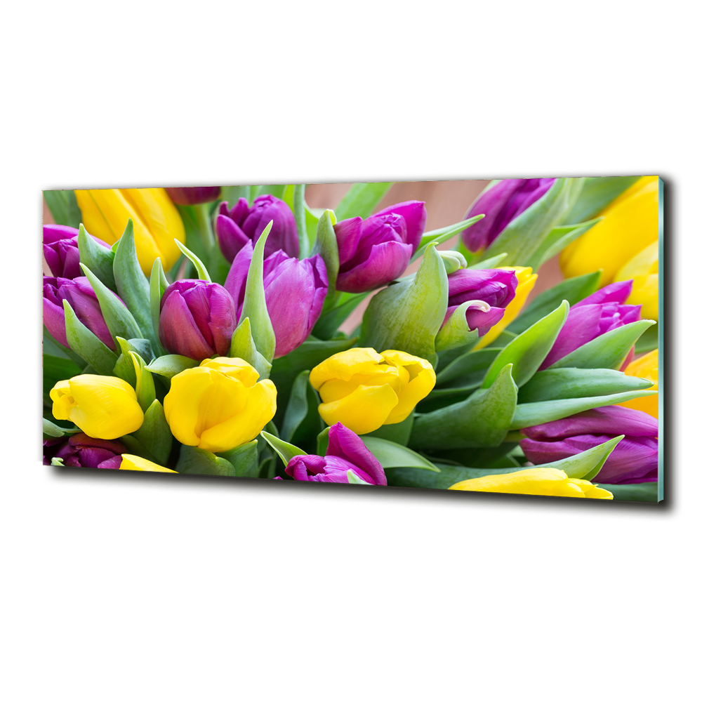 Tableau imprimé sur verre Tulipes colorées