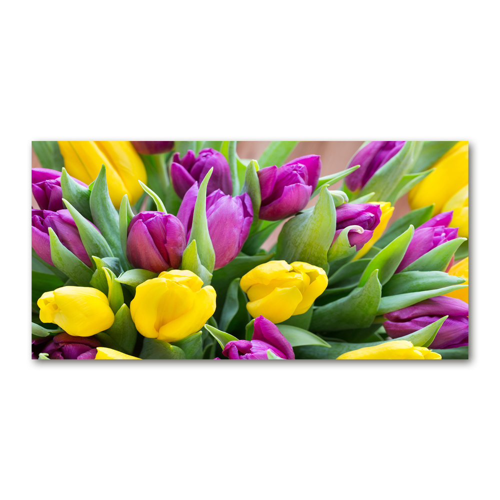 Tableau imprimé sur verre Tulipes colorées