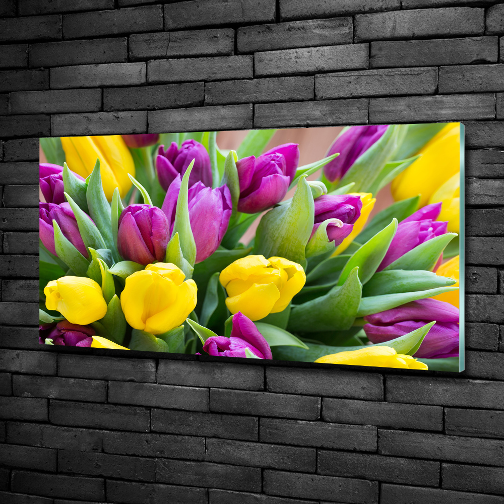 Tableau imprimé sur verre Tulipes colorées