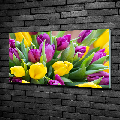 Tableau imprimé sur verre Tulipes colorées