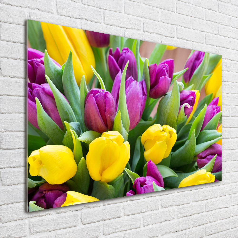 Tableau imprimé sur verre Tulipes colorées