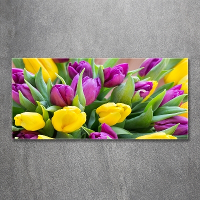 Tableau imprimé sur verre Tulipes colorées