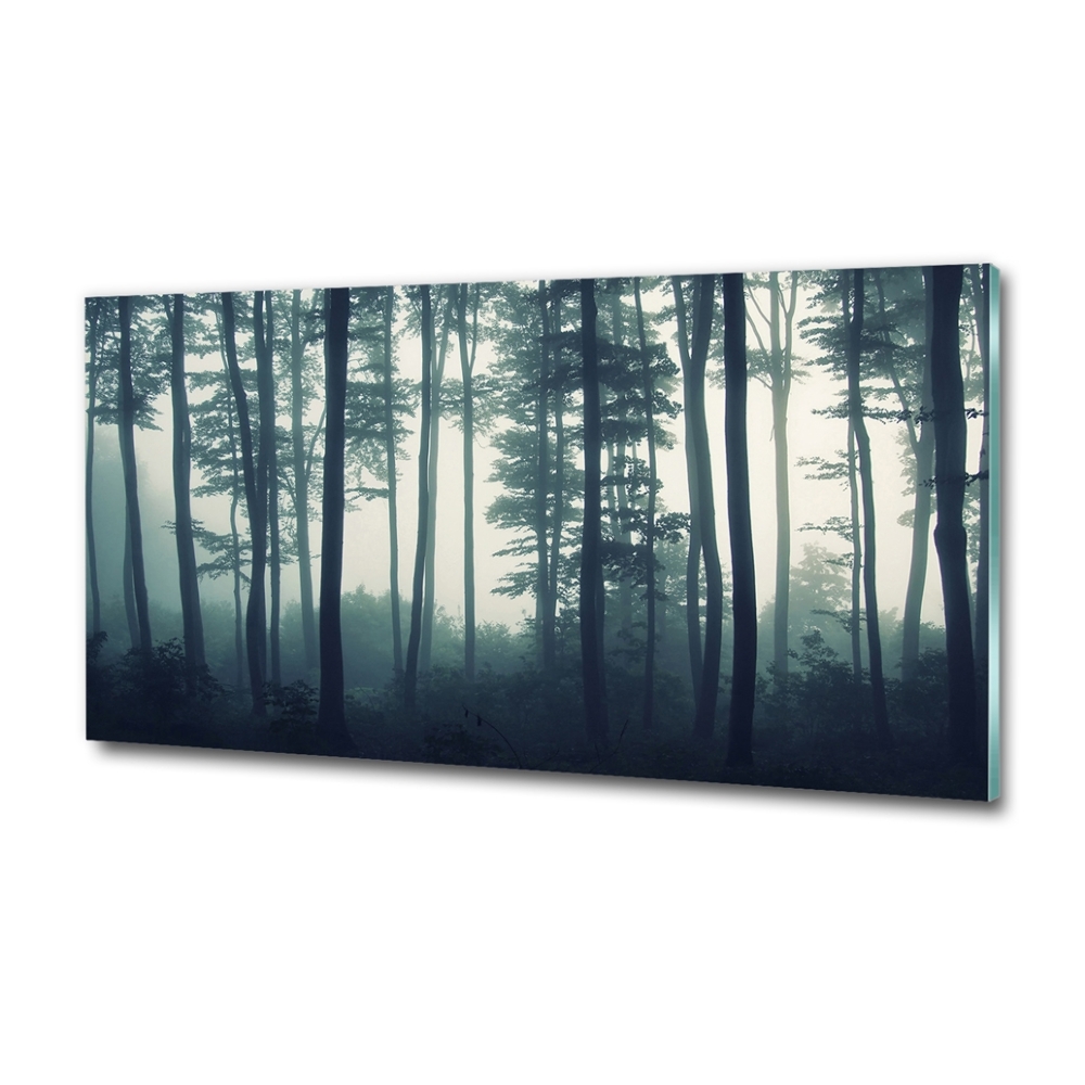 Tableau imprimé sur verre Forêt dans la brume