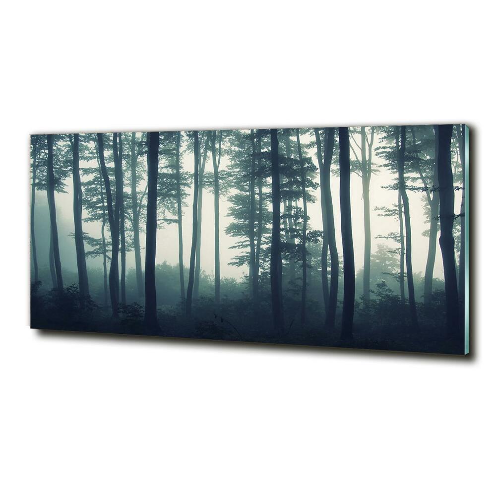 Tableau imprimé sur verre Forêt dans la brume