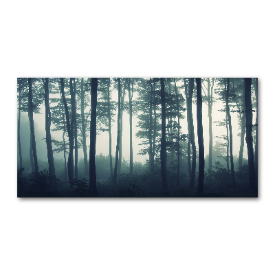 Tableau imprimé sur verre Forêt dans la brume