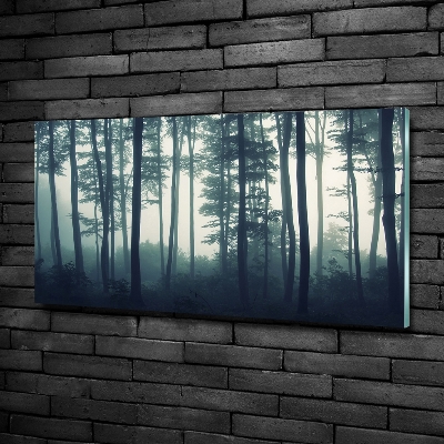 Tableau imprimé sur verre Forêt dans la brume