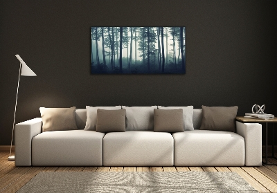 Tableau imprimé sur verre Forêt dans la brume