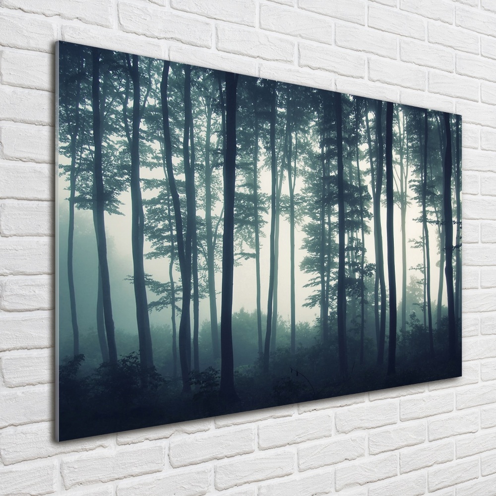 Tableau imprimé sur verre Forêt dans la brume