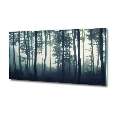 Tableau imprimé sur verre Forêt dans la brume