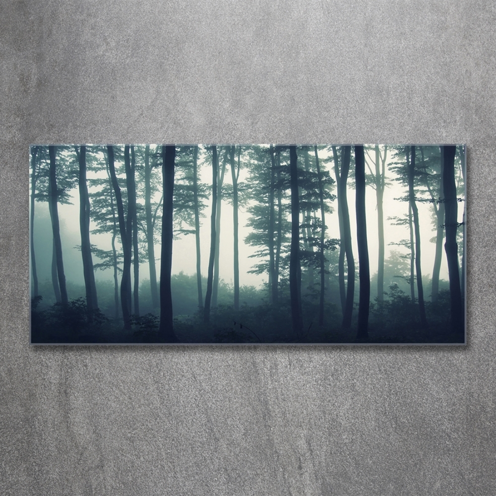 Tableau imprimé sur verre Forêt dans la brume