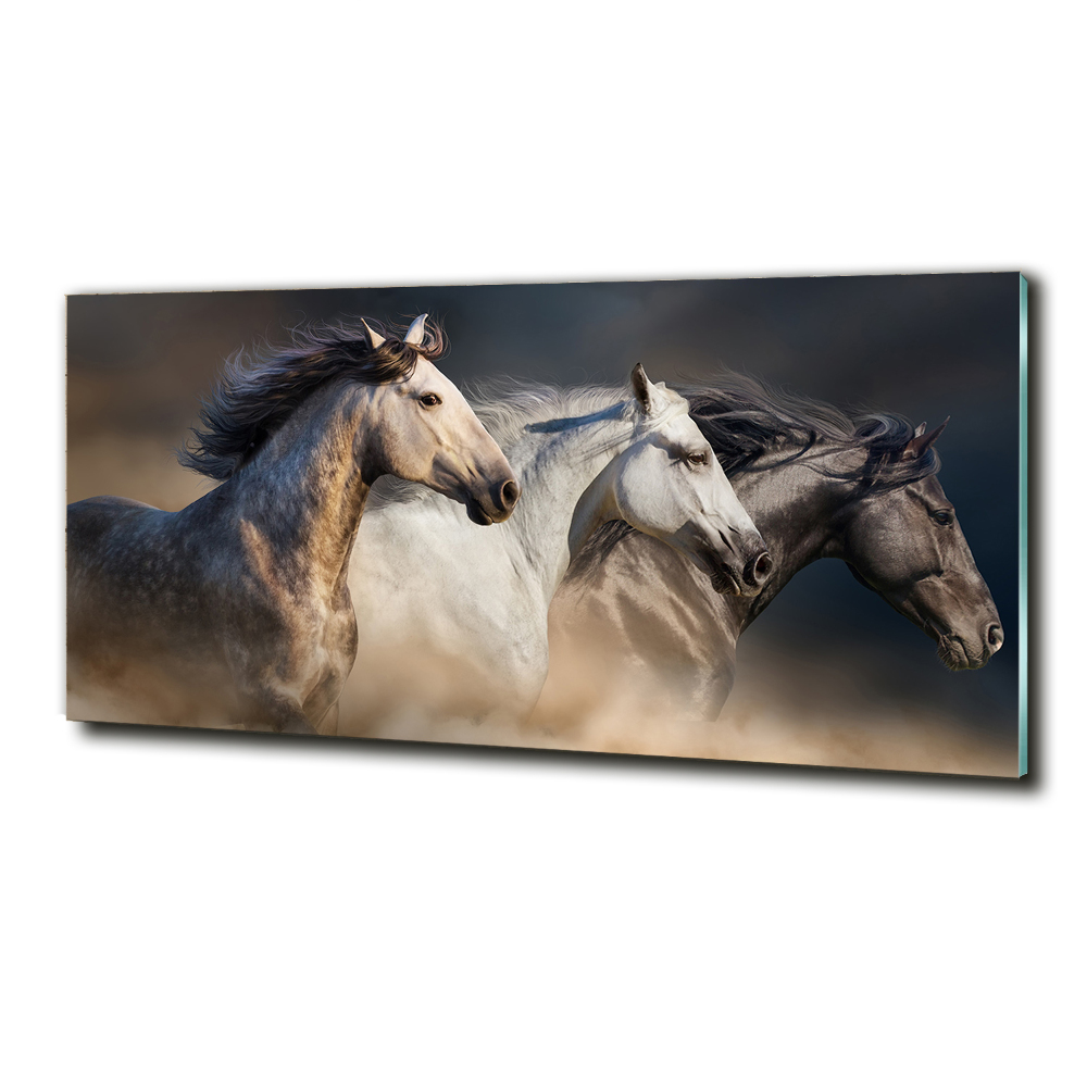 Tableau sur verre Chevaux au galop