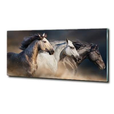 Tableau sur verre Chevaux au galop