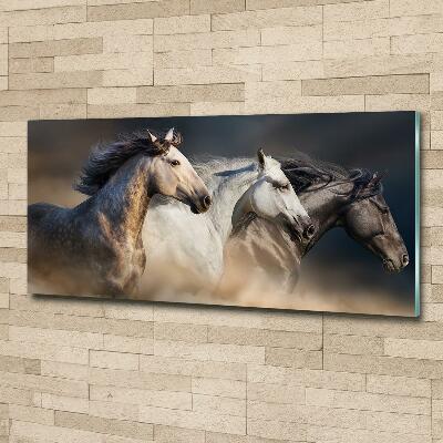 Tableau sur verre Chevaux au galop