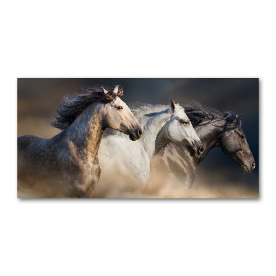 Tableau sur verre Chevaux au galop