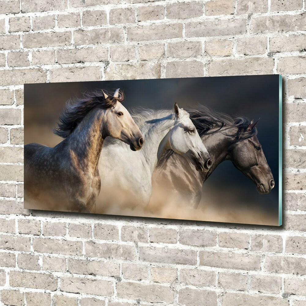 Tableau sur verre Chevaux au galop