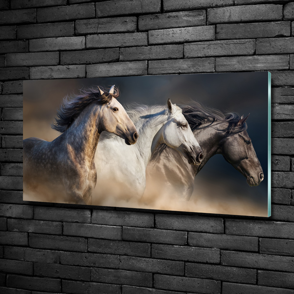 Tableau sur verre Chevaux au galop