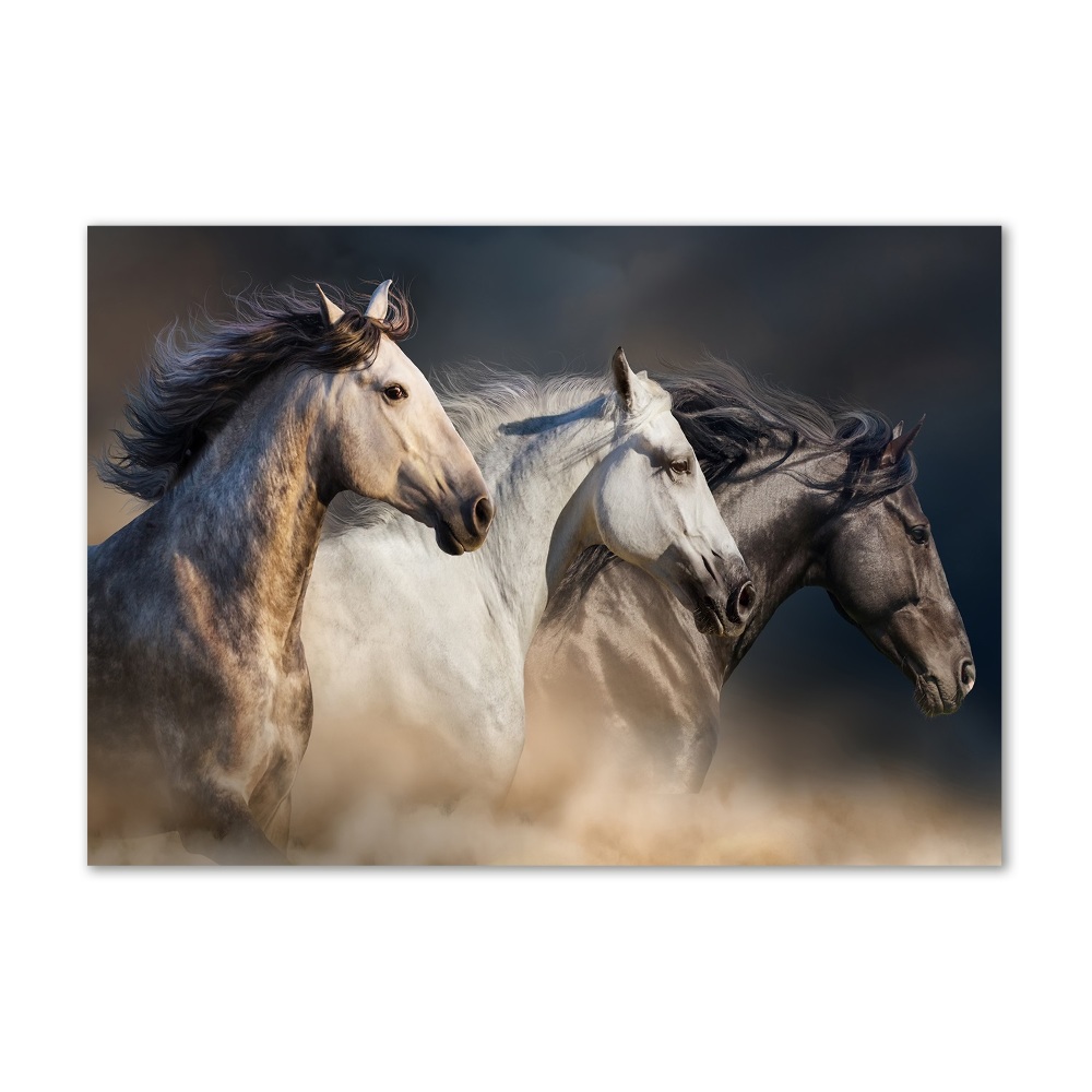 Tableau sur verre Chevaux au galop