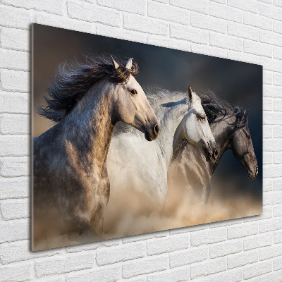 Tableau sur verre Chevaux au galop