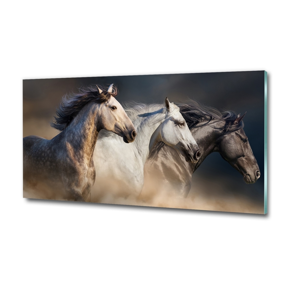 Tableau sur verre Chevaux au galop