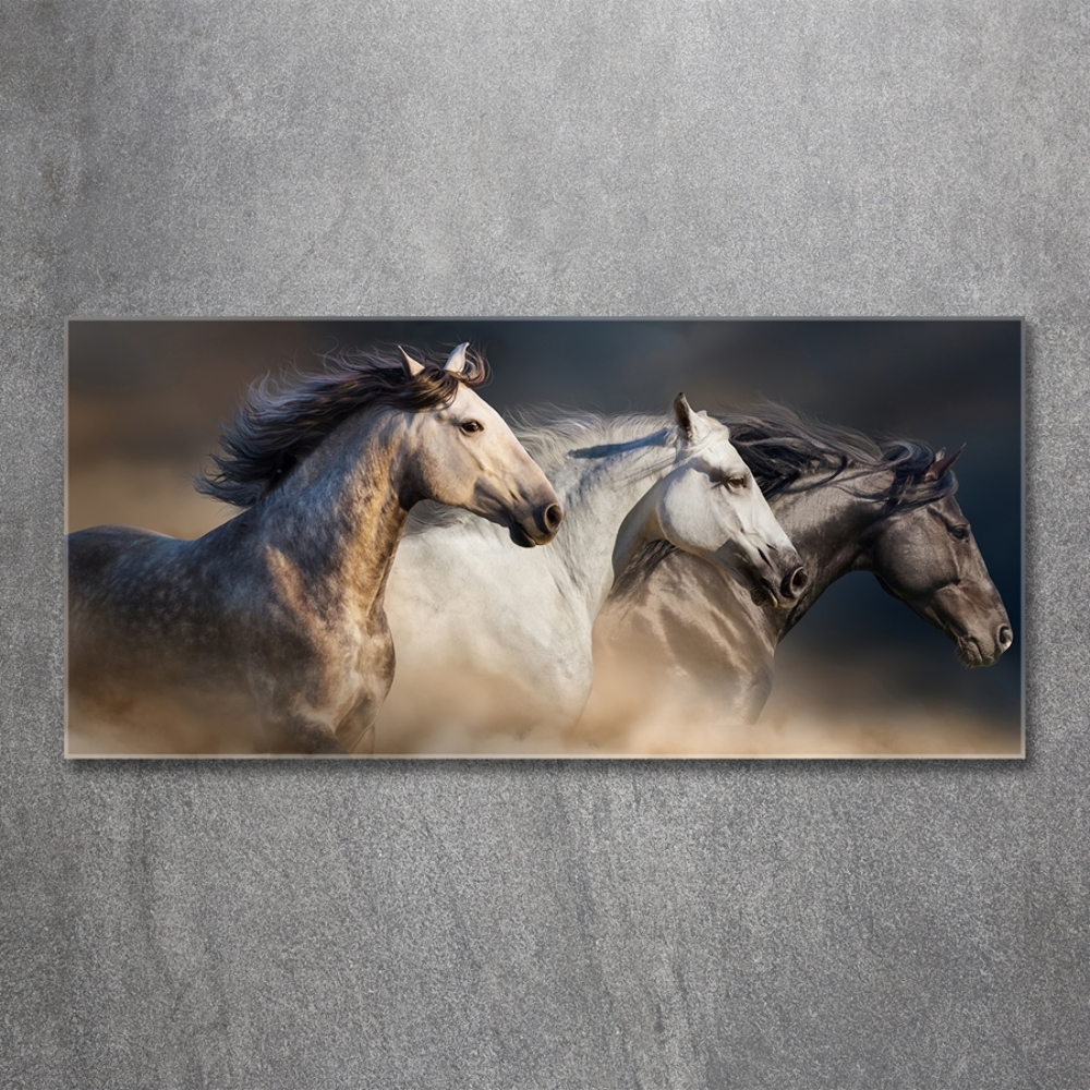 Tableau sur verre Chevaux au galop