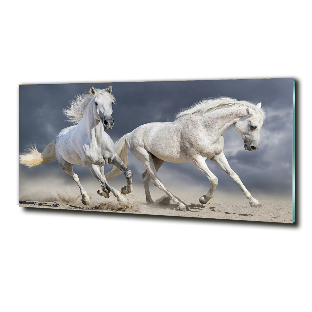 Tableau verre imprimé Plage des chevaux blancs