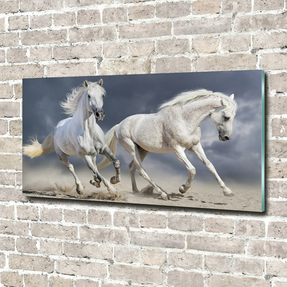 Tableau verre imprimé Plage des chevaux blancs