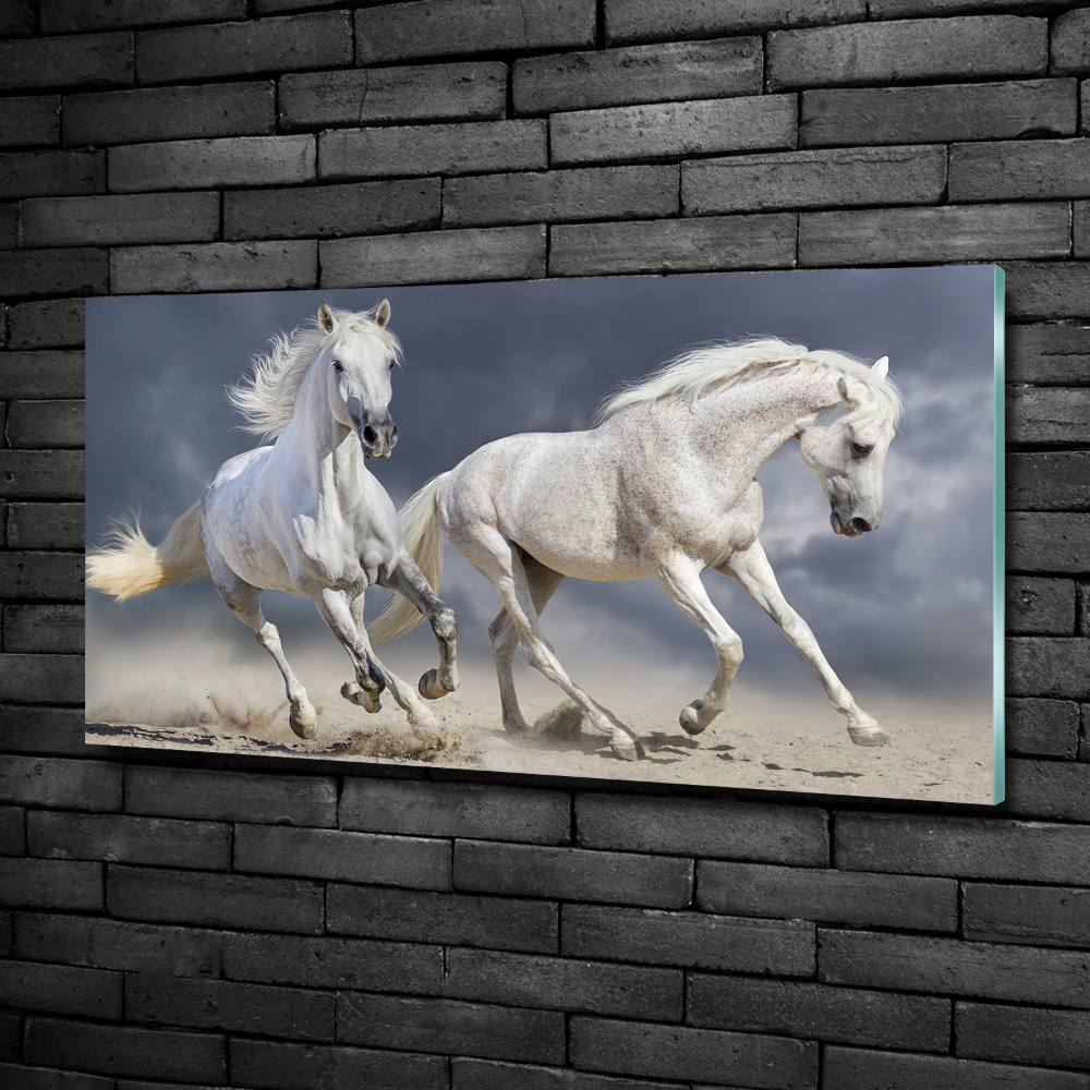 Tableau verre imprimé Plage des chevaux blancs