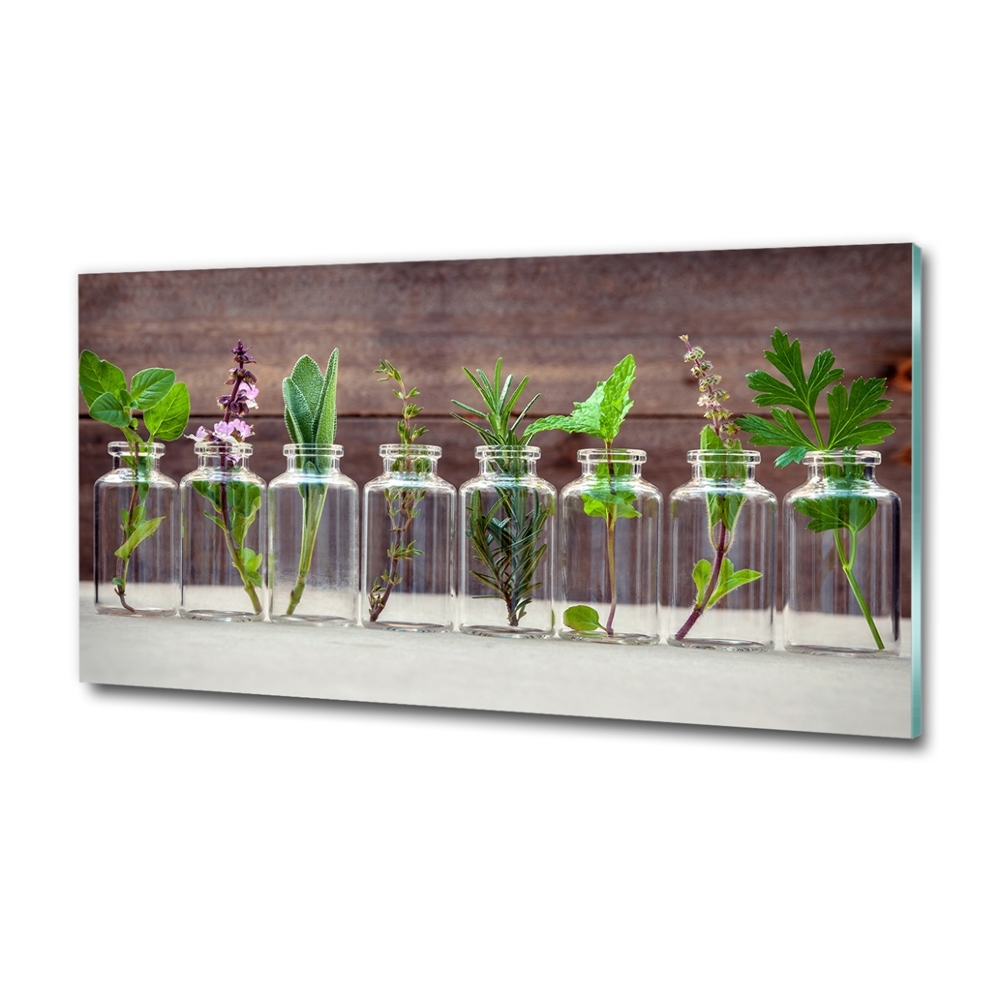 Tableau en verre Plantes en pots