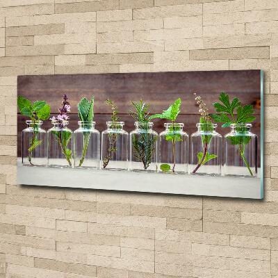 Tableau en verre Plantes en pots